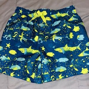 Kidgets shark shorts. Size 24months